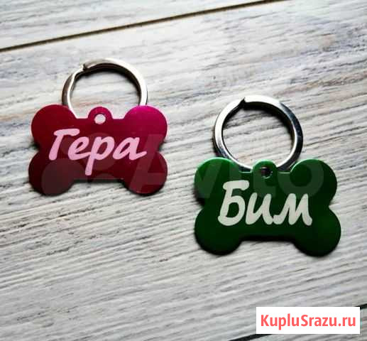Адресники (Бирки) для собак и кошек Брянск - изображение 1