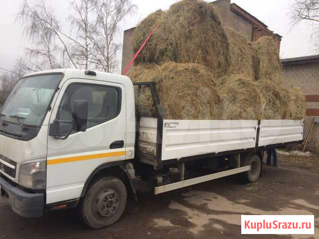 Продажа сена Лесной - изображение 1