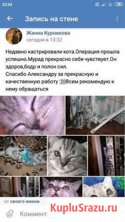 Ветеринарный врач на дом Иваново - изображение 1