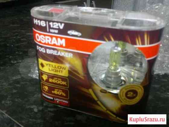 Лампы противотуманки. Н16 osram Рязань