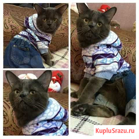 Костюм Хабаровск - изображение 1