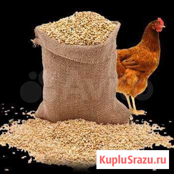 Комбикорм Ейск - изображение 1