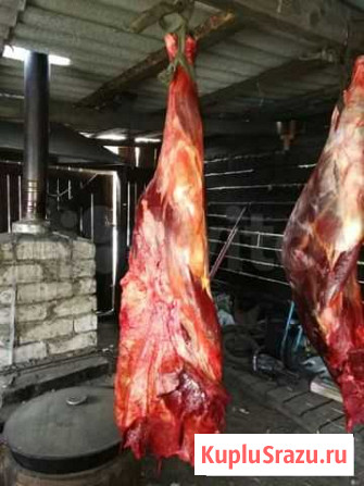 Продам мясо конины Чита - изображение 1