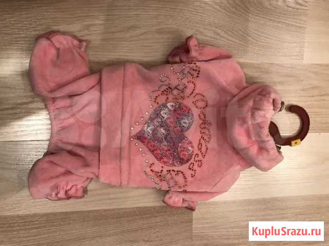 Велюровый костюм на собаку Феодосия - изображение 1