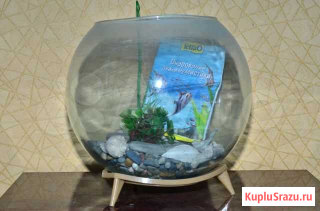 Круглый аквариум Тверь - изображение 1