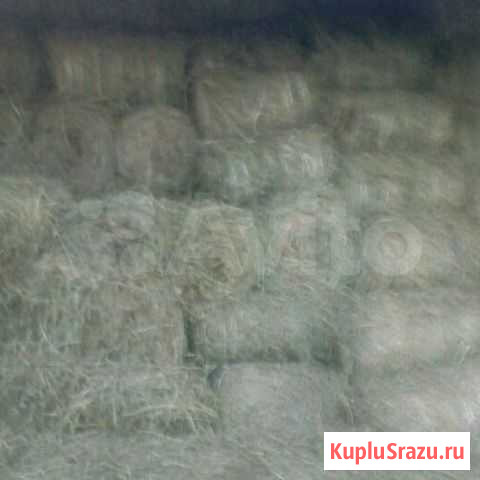Сено в мини-рулонах. Разнотравье Торжок - изображение 1
