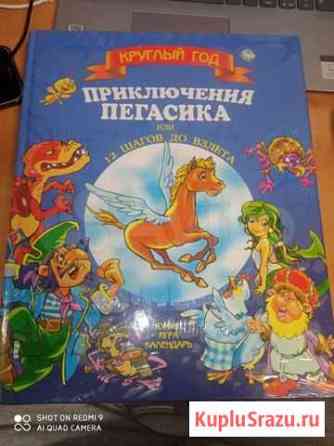 Книга Приключения Пегасика, или 12 шагов до взлета Ижевск