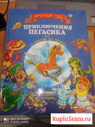 Книга Приключения Пегасика, или 12 шагов до взлета Ижевск - изображение 1