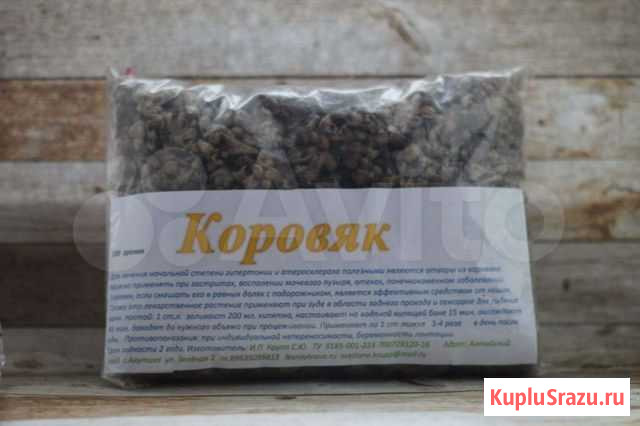 Коровяк Новосибирск - изображение 1