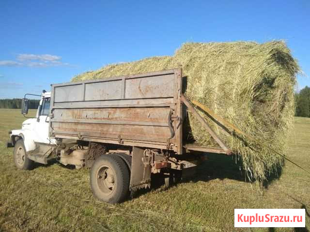 Сено большой рулон Бор - изображение 1