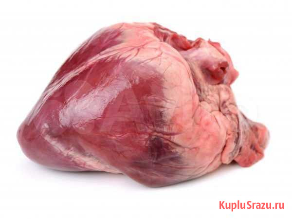 Сердце свиное Доставка (субпродукты) Екатеринбург - изображение 1