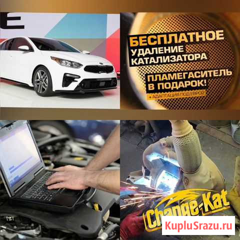Удаление катализатора бесплатно Курган - изображение 1