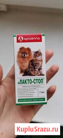 Лактостоп для кошек и собак Улан-Удэ - изображение 1