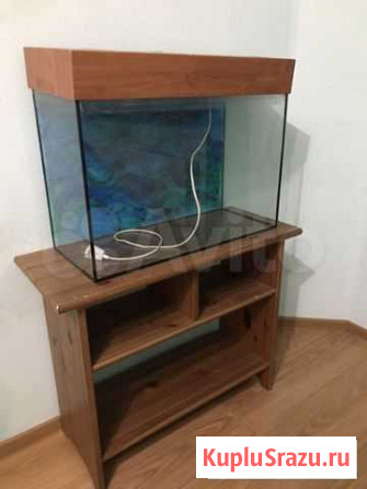 Аквариум 80 литров Гатчина - изображение 1
