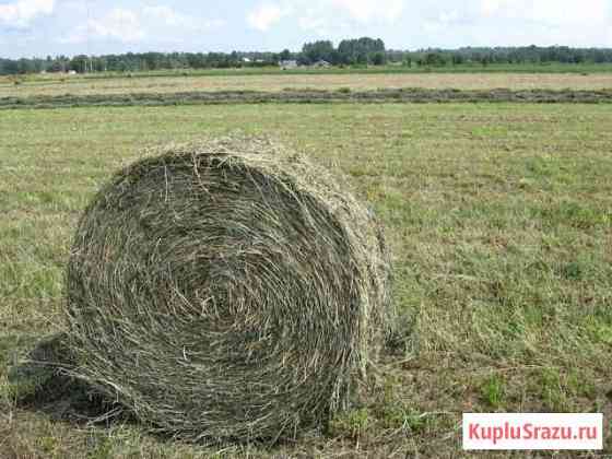 Сено в рулонах Челябинск
