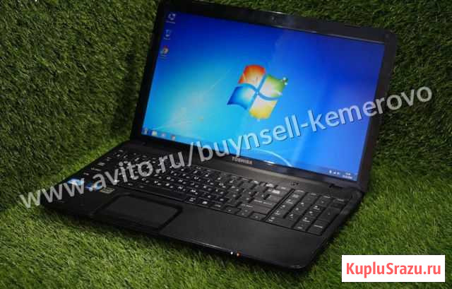 Toshiba для нетребовательных игр, работы. Гарантия Кемерово - изображение 1