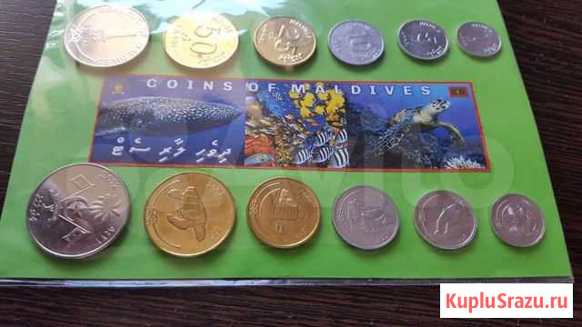 Мальдивские руфии и лари Санкт-Петербург - изображение 1