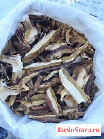 Белые сушеные грибы Сланцы - изображение 1
