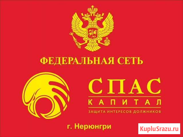 Помощь при проблемах с кредитами, займами Нерюнгри - изображение 1