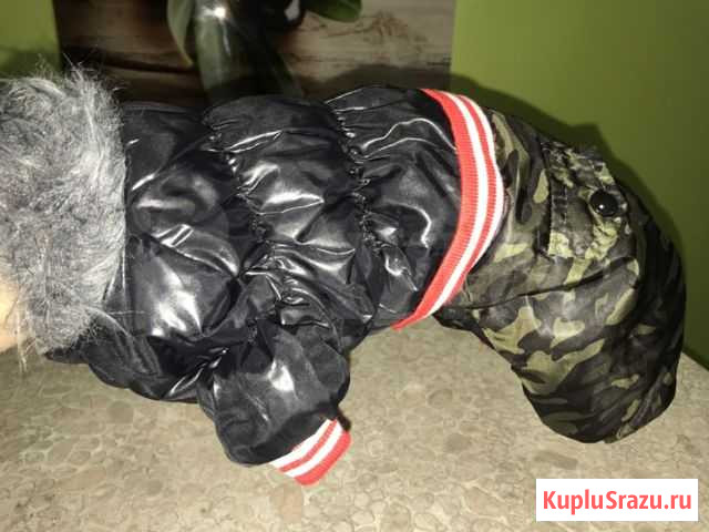 Комбинезон на собачку Правдинский - изображение 1