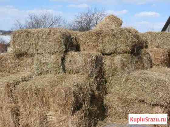 Сено в тюках и рулонах Тимирязевский