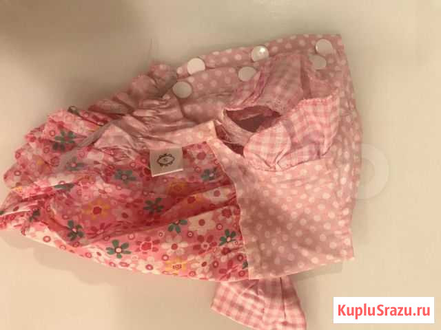 Одежда для маленькой собаки Самара - изображение 1