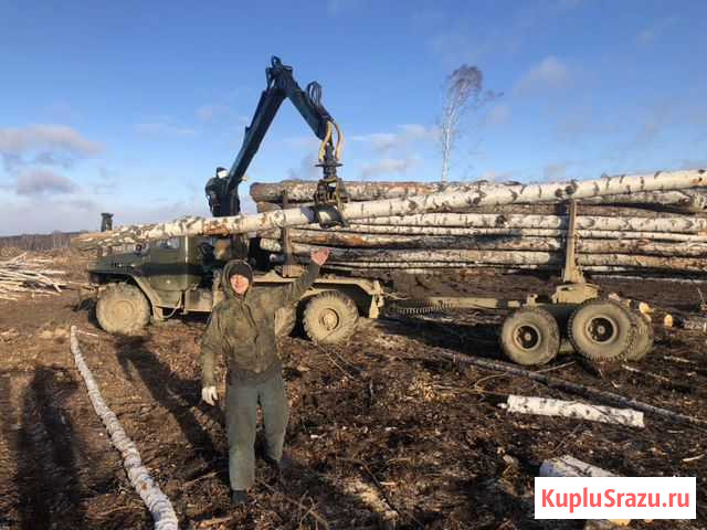 Вальщик Кыштым - изображение 1