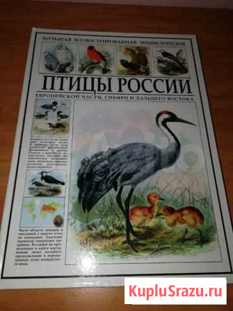 Книга Калуга - изображение 1