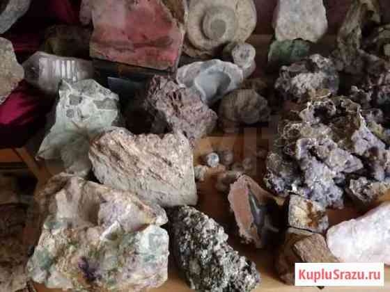 Минералы Окаменелости Аммониты Жеоды Пирит Новокузнецк