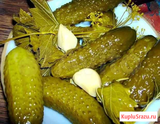 Огурцы солёные бочковые Нижний Новгород - изображение 1