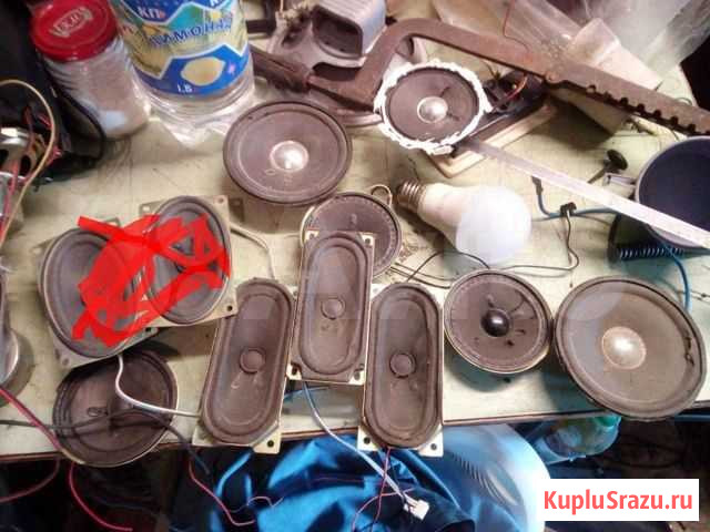 Динамики Орск - изображение 1