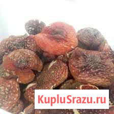 Сушеные грибы Томск - изображение 1