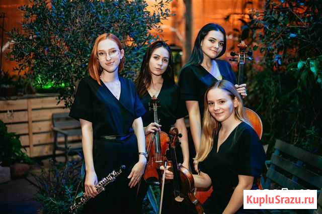 Музыканты Санкт-Петербург - изображение 1