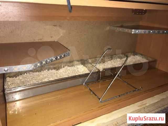 Клетка витрина для шиншиллы Севастополь - изображение 1
