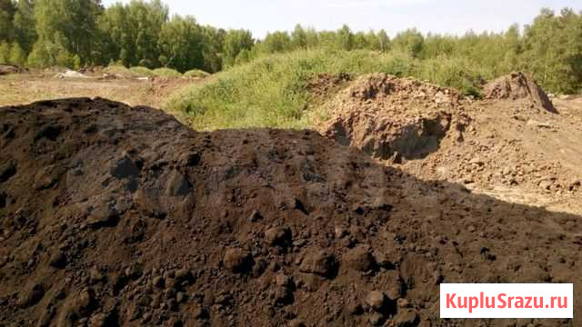 Чернозем, торф Тверь - изображение 1