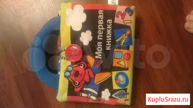 Моя первая книжка Саранск - изображение 1