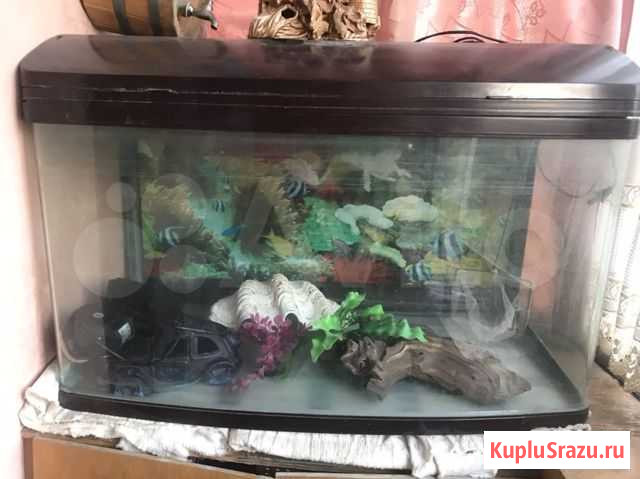 Продам аквариум.длина85см,ширина45см,высота45см.фи Новороссийск - изображение 1