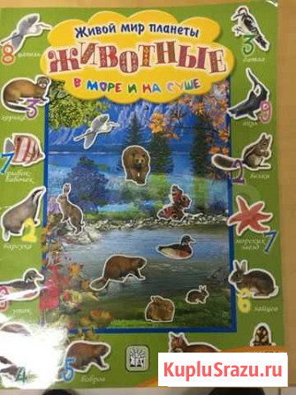 Животные в море и на суше Оренбург - изображение 1