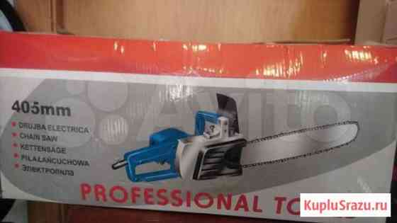 Электропила Сибирский лес Улан-Удэ