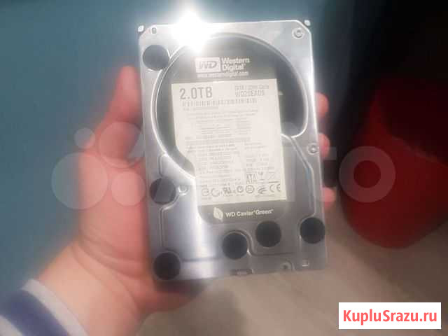 Жесткий диск WD 2TB SATA 32Mb Коммунарка - изображение 1