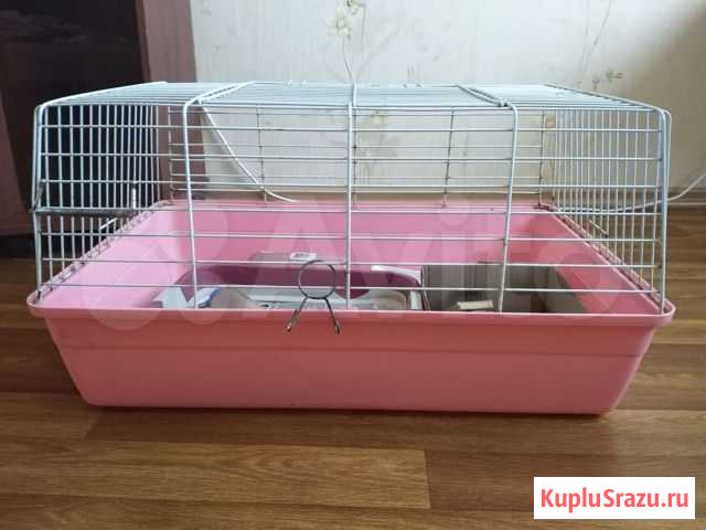 Клетка для декоративного кролика Благовещенск - изображение 1