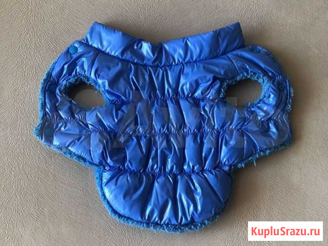 Продам жилетку на маленькую собачку,весом до 3.кг Карпинск - изображение 1