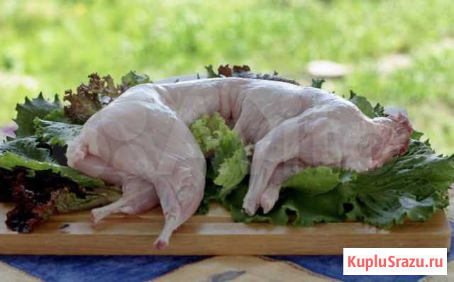 Мясо кролика Колосовка - изображение 1