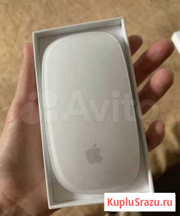 Мышь apple Сочи - изображение 1