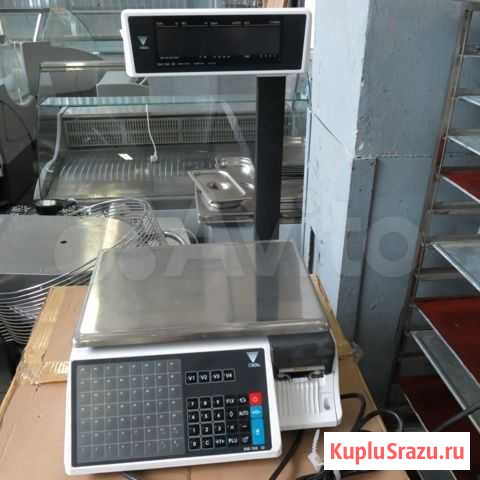 Весы с печатью этикеток Digi SM100 P Москва - изображение 1