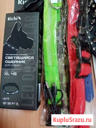 Продам новые ошейники Братск - изображение 1