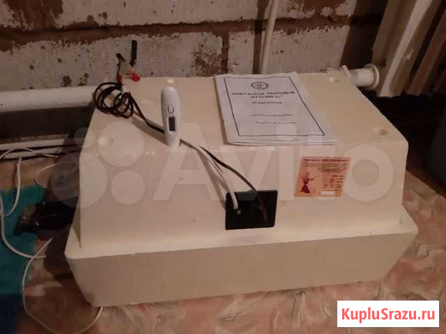 Инкубатор Кондрово - изображение 1