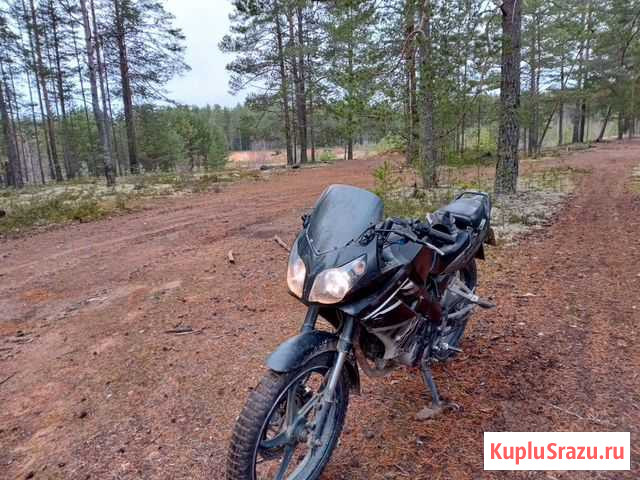 Motolend cbr Петрозаводск - изображение 1