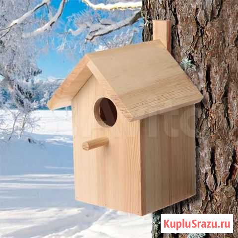 Курятник, Скворечник Тюмень - изображение 1