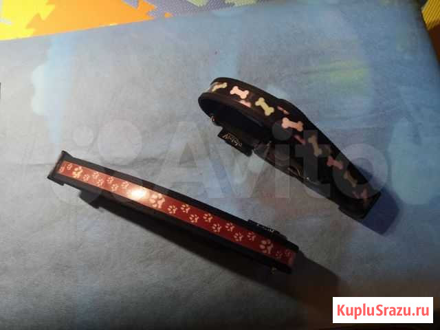 Ошейник для собак Клин - изображение 1